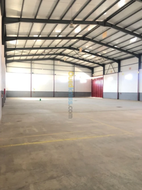 Location Hangar Alger Birtouta