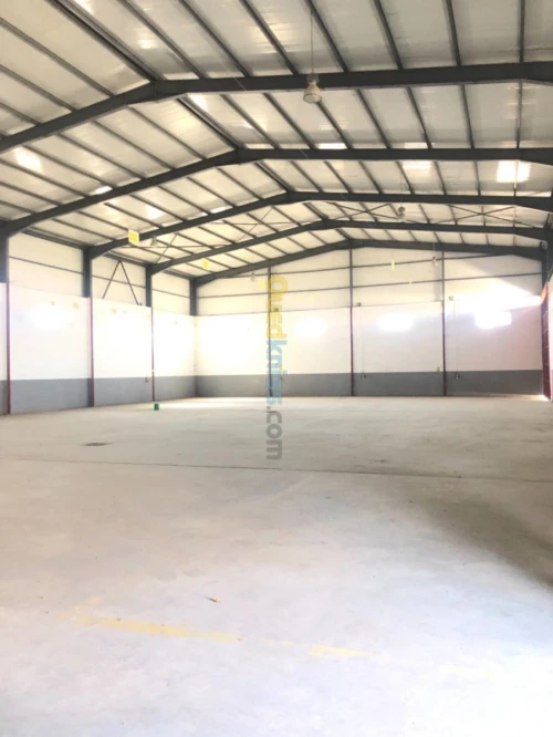 Location Hangar Alger Birtouta