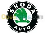 Scanner Auto