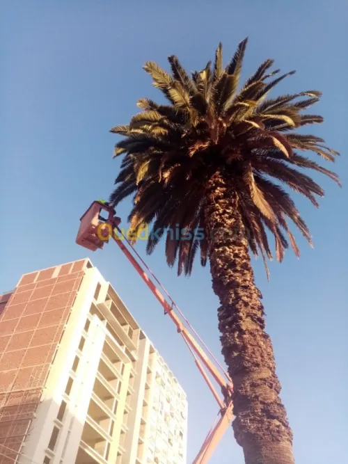  espace vert bien conçu et bien entretenu est générateur