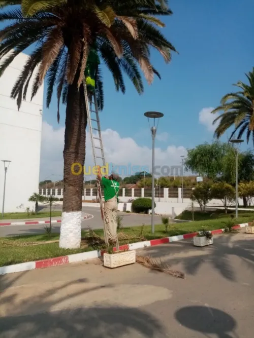  espace vert bien conçu et bien entretenu est générateur