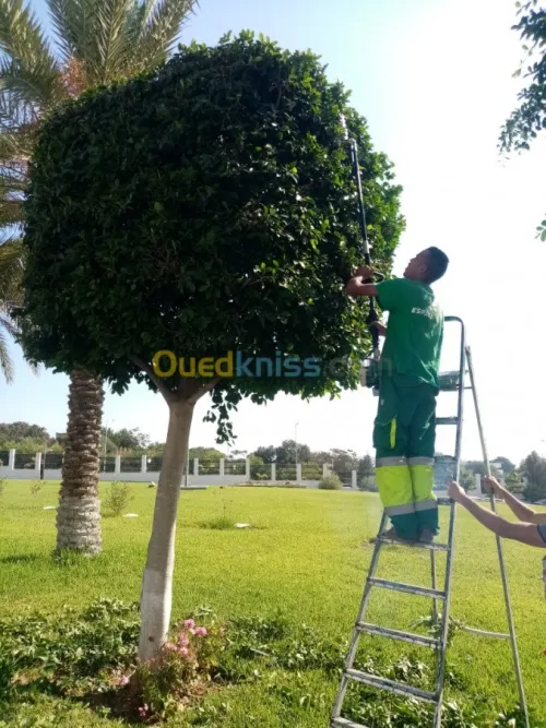  espace vert bien conçu et bien entretenu est générateur