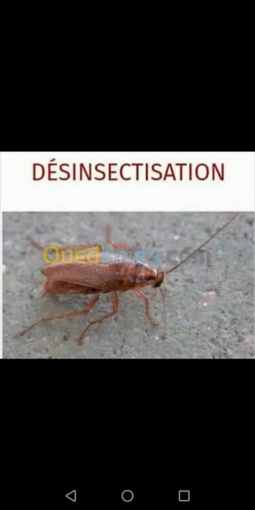 dératisation-Désinfection
