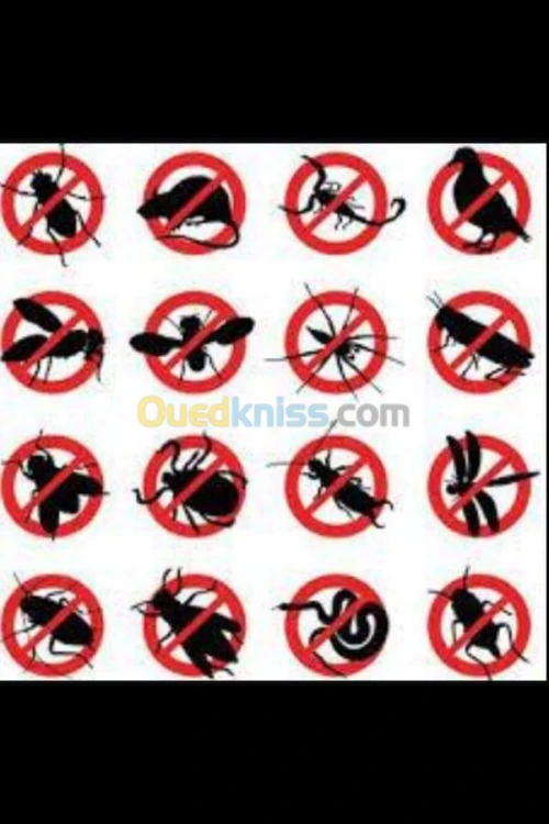 dératisation-Désinfection