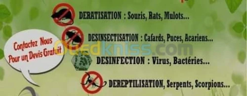 dératisation-Désinfection