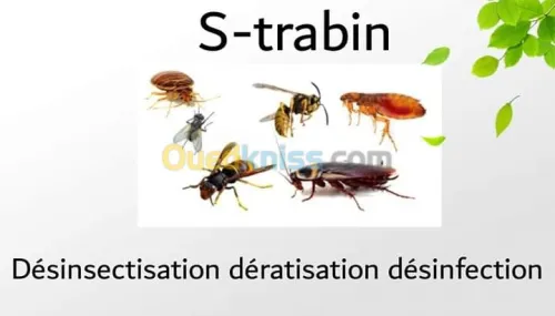 dératisation-Désinfection