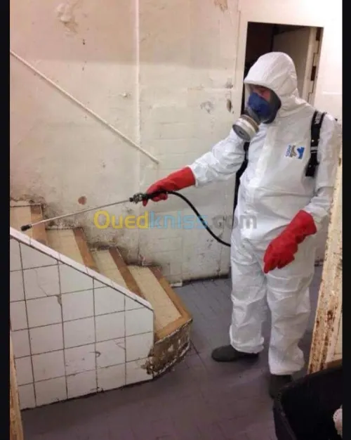 dératisation-Désinfection