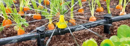 Filtration de l'eau de puits