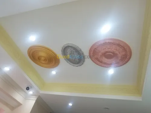 Placo plâtre , décoration,3d