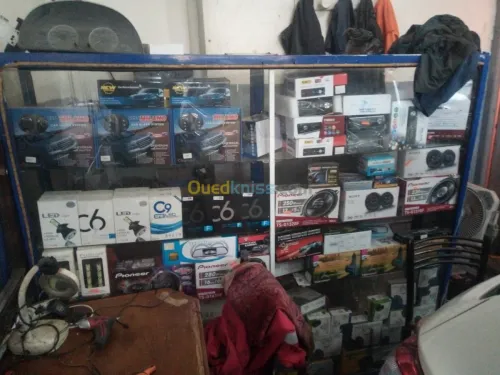 Electricite auto.scanner  &  alarme 