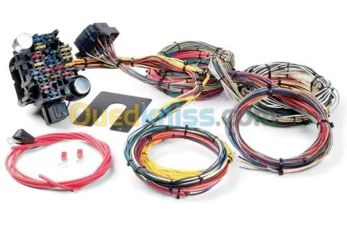 Electricite auto.scanner  &  alarme 