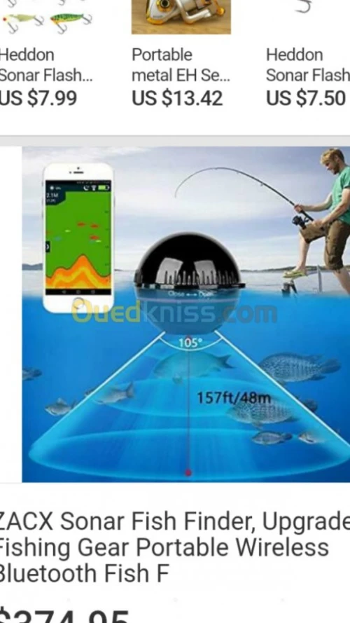 Détecteur de poisson de sonar ZACX