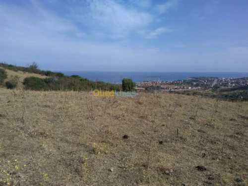 Vente Terrain Jijel El aouana