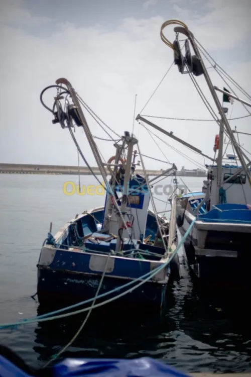 Photographies en tout genre 