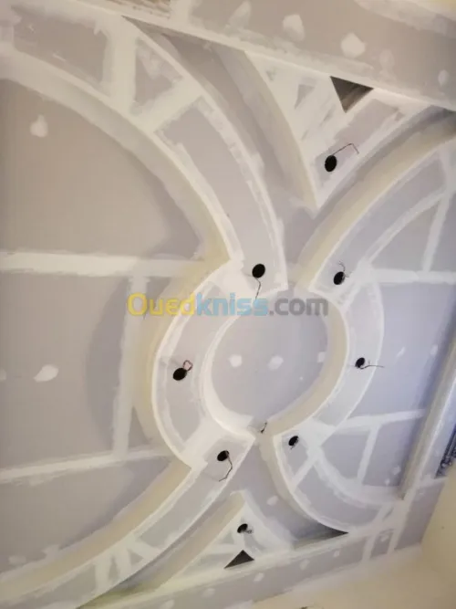 Placo platre peinture