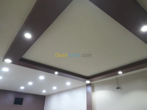  faux plafond placo pvc bois démontabl