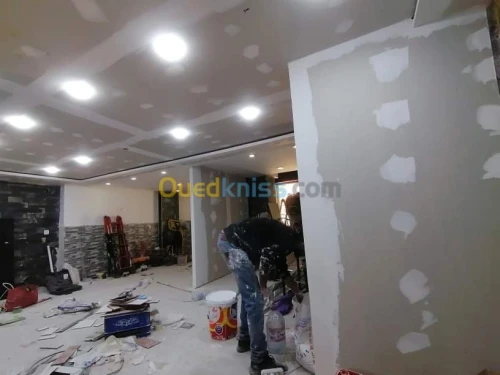 faux plafond placo pvc bois démontabl