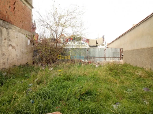 Vente Terrain Blida Blida
