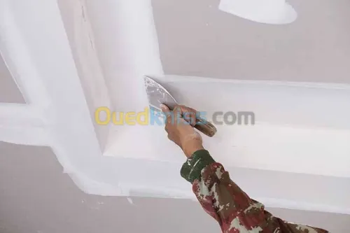 Placoplâtre b(13) pvc peinture et élec