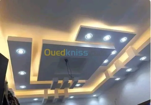 Placoplâtre b(13) pvc peinture et élec