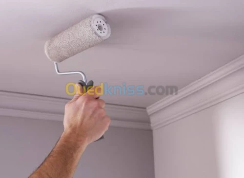 Placoplâtre b(13) pvc peinture et élec