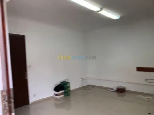 Location Villa Alger El biar