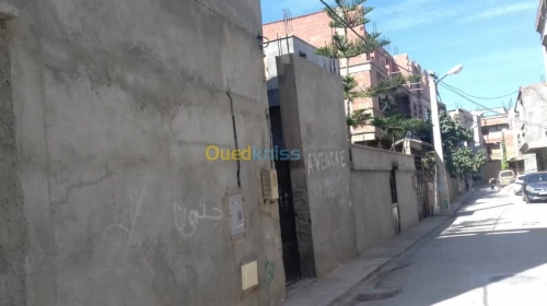 Vente Villa Alger Les eucalyptus
