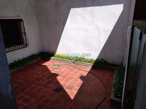 Vente Villa Alger Les eucalyptus