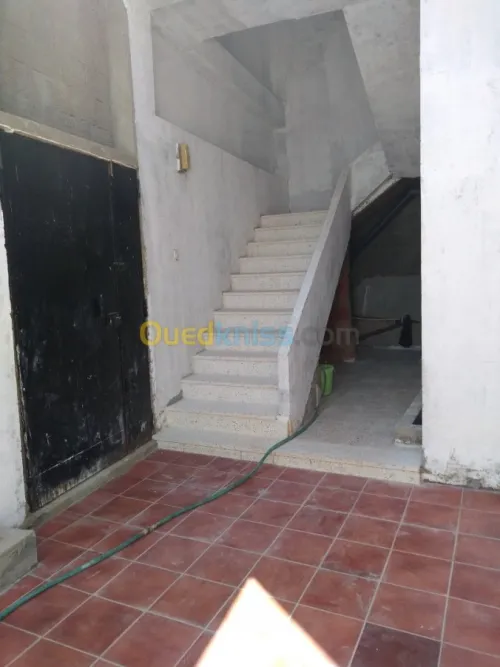 Vente Villa Alger Les eucalyptus