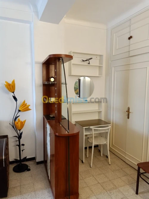 Location Appartement F1 Alger Alger centre