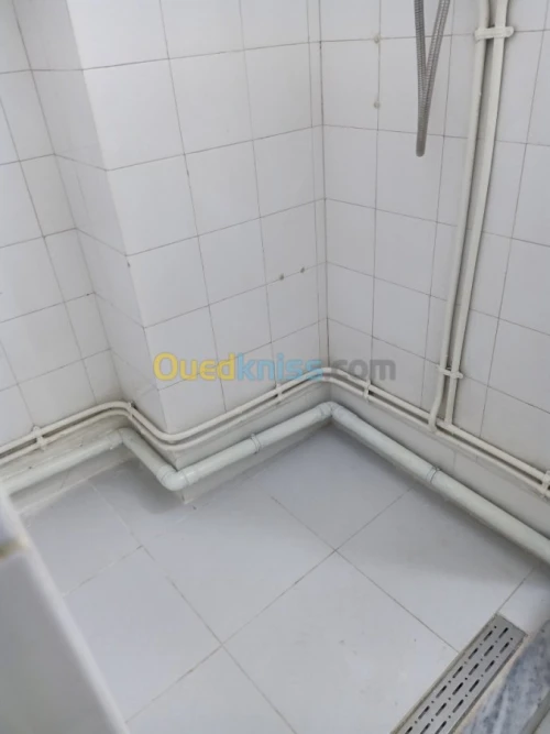 Location Appartement F1 Alger Alger centre