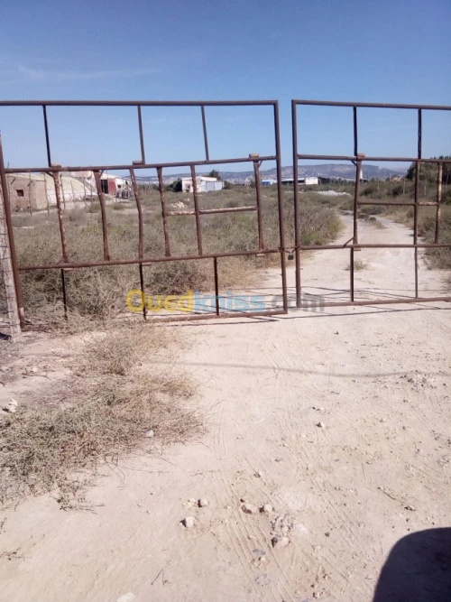 Vente Terrain Agricole Mostaganem Mostaganem