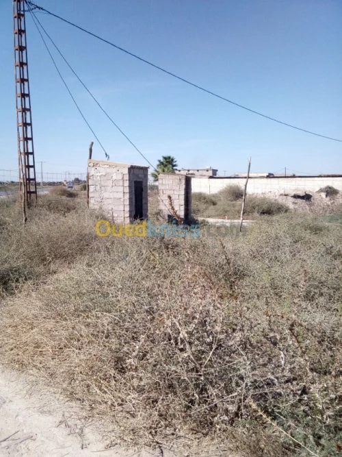 Vente Terrain Agricole Mostaganem Mostaganem