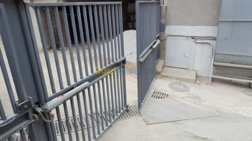 Porte automatique NICE