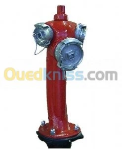 Poteau d'incendie DN100 - 2x DN70 - BAYARD (France)|AVK (Danemark)|HERO (Algérie)|Standard (Chine)