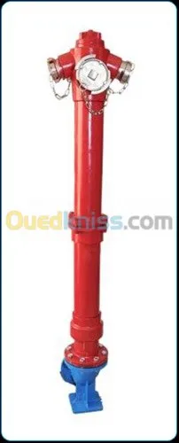 Poteau d'incendie DN100 - 2x DN70 - BAYARD (France)|AVK (Danemark)|HERO (Algérie)|Standard (Chine)