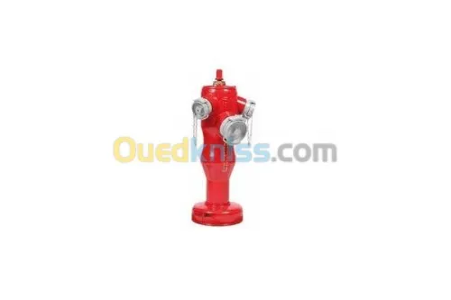 Poteau d'incendie DN100 - 2x DN70 - BAYARD (France)|AVK (Danemark)|HERO (Algérie)|Standard (Chine)