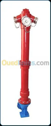 Poteau d'incendie DN100 - 2x DN70 - BAYARD (France)|AVK (Danemark)|HERO (Algérie)|Standard (Chine)