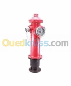 Poteau d'incendie DN100 - 2x DN70 - BAYARD (France)|AVK (Danemark)|HERO (Algérie)|Standard (Chine)