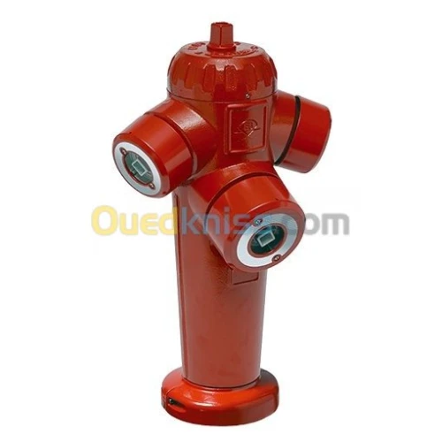 Poteau d'incendie DN100 - 2x DN70 - BAYARD (France)|AVK (Danemark)|HERO (Algérie)|Standard (Chine)