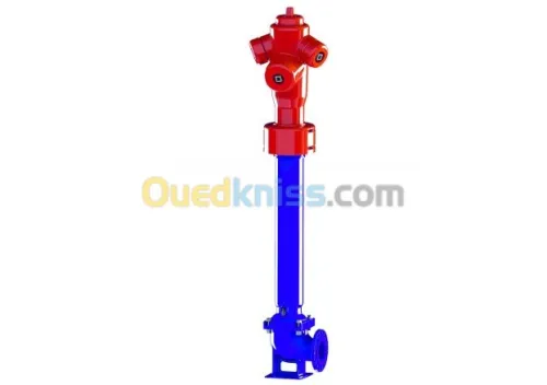 Poteau d'incendie DN100 - 2x DN70 - BAYARD (France)|AVK (Danemark)|HERO (Algérie)|Standard (Chine)