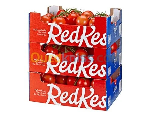 COLLE HOT MELT CAISSE FRUITS CARTON