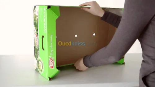 COLLE HOT MELT CAISSE FRUITS CARTON