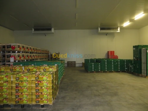 FRIGORIFICATION POSITIVE