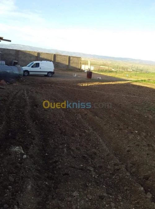 Vente Terrain Agricole Tlemcen Hennaya