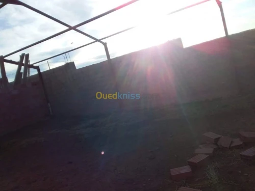 Vente Terrain Agricole Tlemcen Hennaya