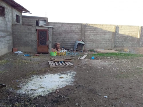 Vente Terrain Agricole Tlemcen Hennaya