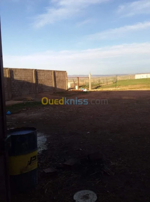 Vente Terrain Agricole Tlemcen Hennaya