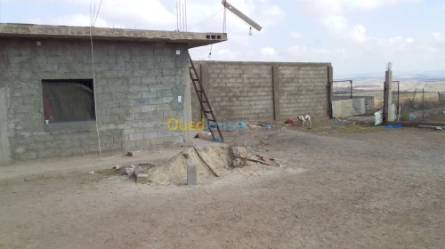 Vente Terrain Agricole Tlemcen Hennaya