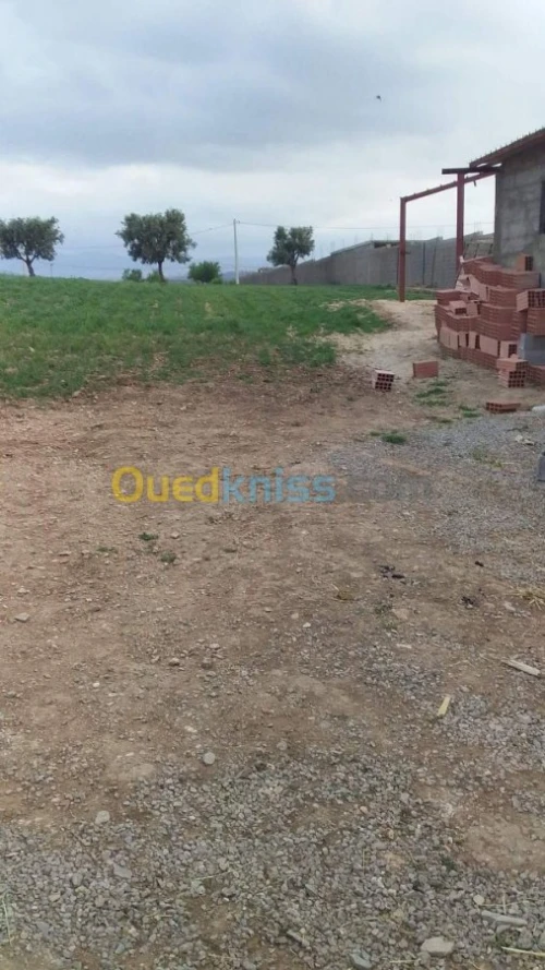 Vente Terrain Agricole Tlemcen Hennaya